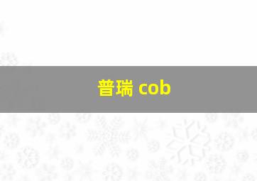 普瑞 cob